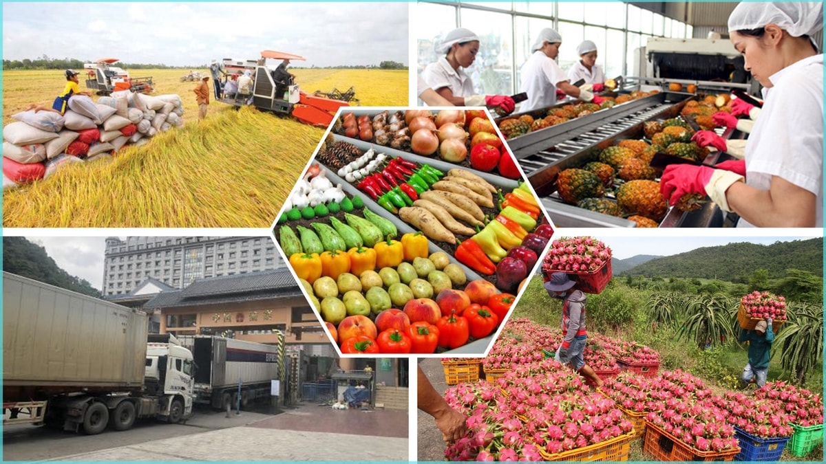 Sản xuất nông nghiệp năm 2025 bứt phá mạnh mẽ (Ảnh IT)