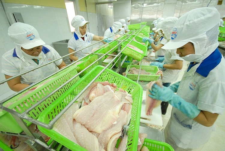 Nông - lâm - thủy sản tiếp tục là trụ đỡ của nền kinh tế (Ảnh IT)