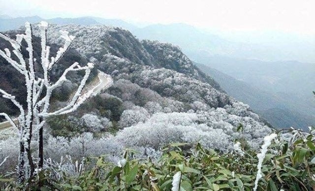Nhiều địa phương tại khu vực phía Bắc có thể xuất hiện băng giá (Ảnh IT)