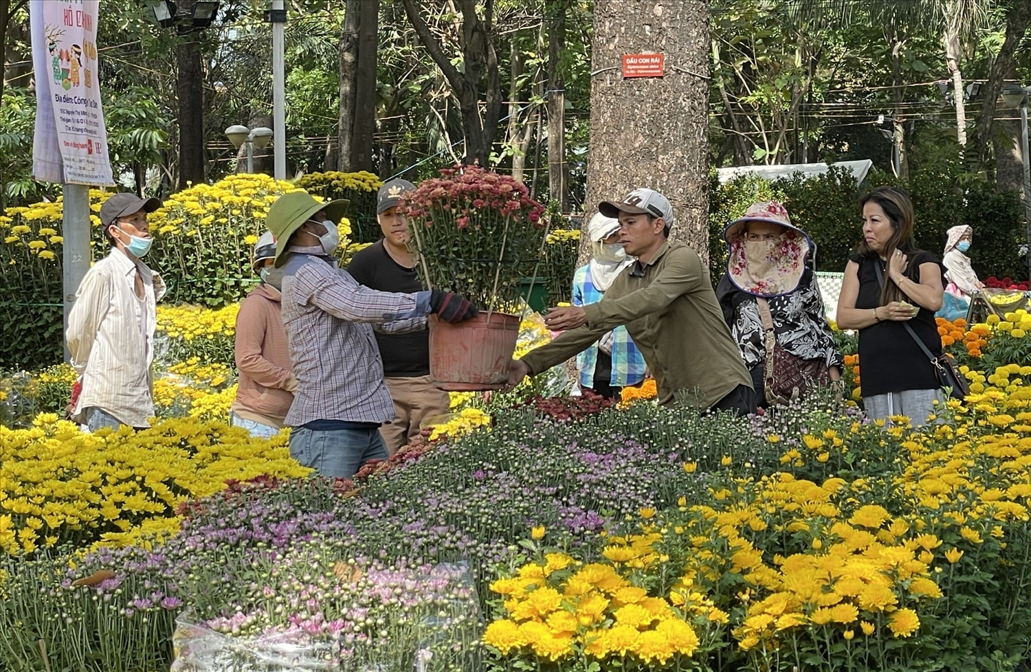 Không chỉ người mua hưởng lợi, nhà vườn cũng tiết kiệm đáng kể chi phí khi bán hoa, cây cảnh online (Ảnh TL) 
