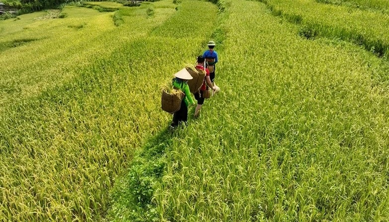 Người dân vùng cao Thanh Hóa thi đua phát triển kinh tế chào mừng Đại hội