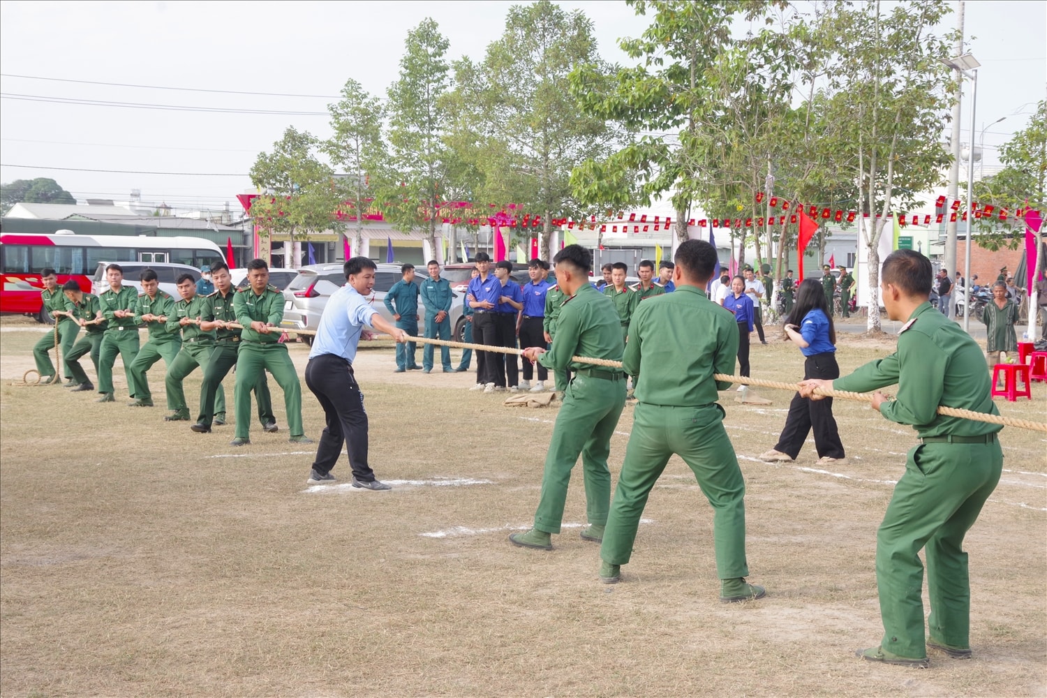 Các hoạt động trong khuôn khổ chương trình