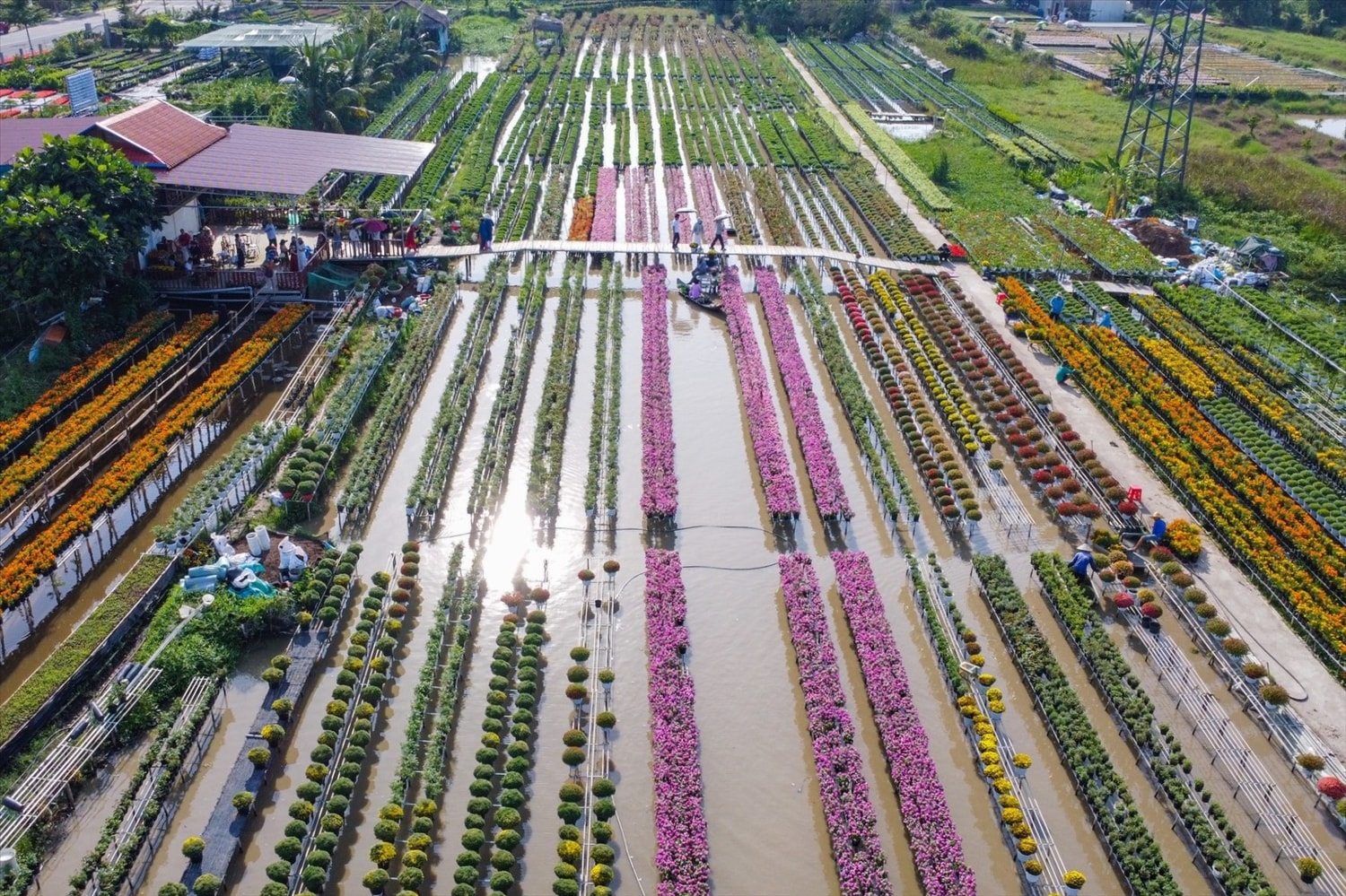  Cùng với trồng và cung cấp hoa, nhiều chủ vườn tại làng hoa Sa Đéc đã cải tạo cảnh quan để làm du lịch.