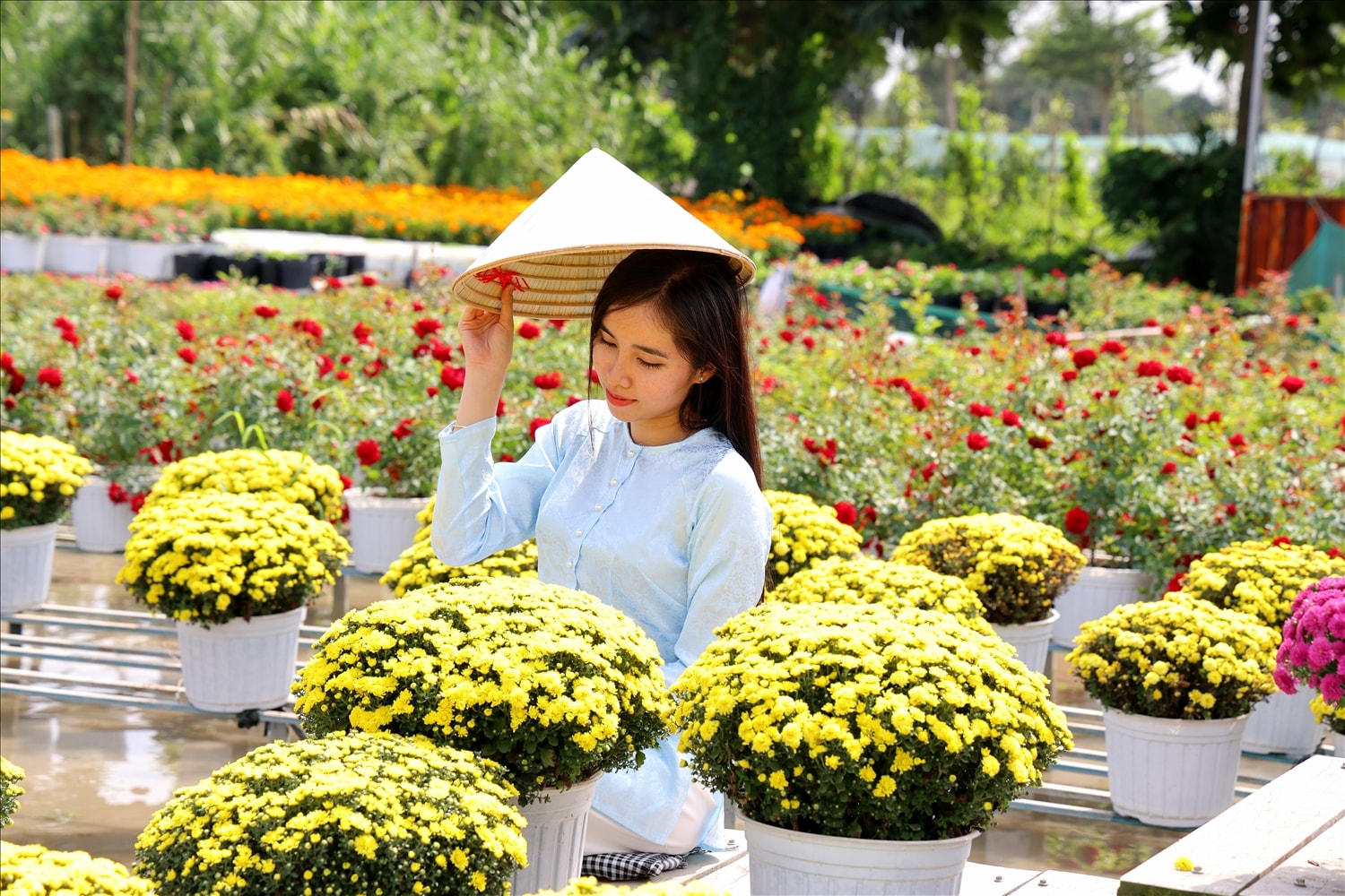 Làng hoa Sa Đéc ngày càng thu hút khách du lịch tới khám phá. (Ảnh: Duy Tân)