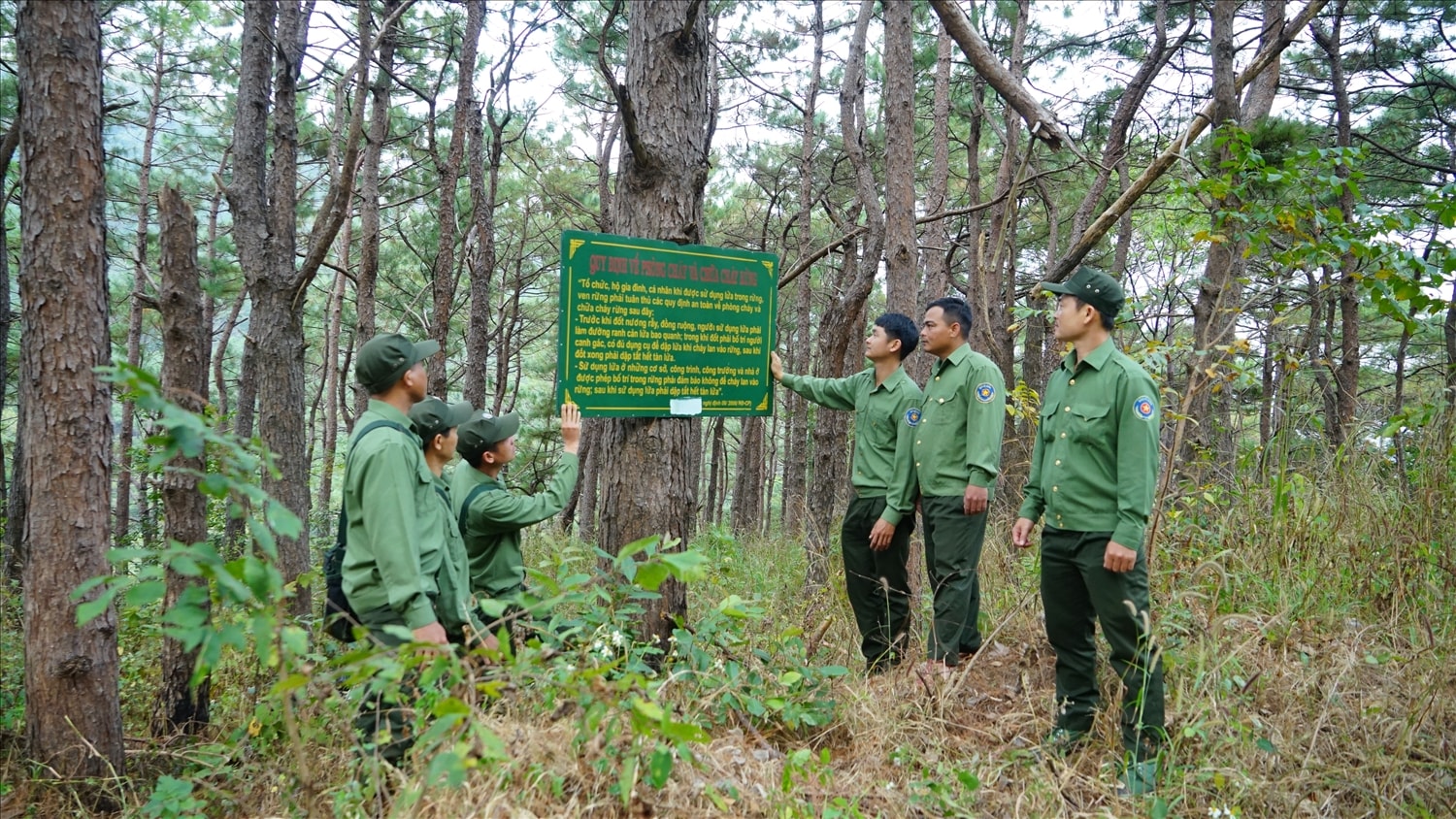 Lực lượng bảo vệ rừng tăng cường tuần tra các khu vực trọng điểm, vùng giáp ranh, khu vực có nguy cơ cao xảy ra phá rừng