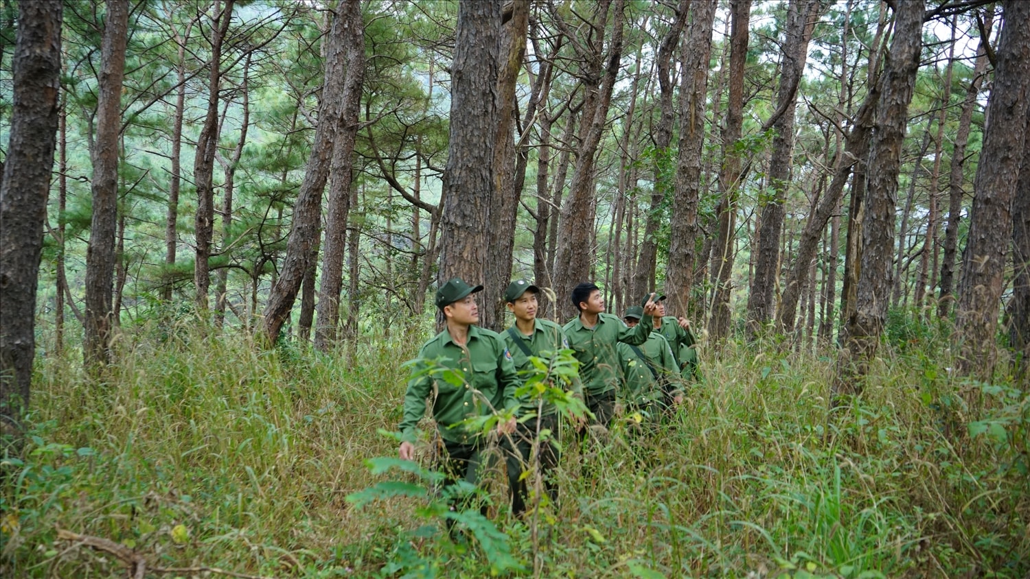 Lực lượng bảo vệ rừng của Ban Quản lý rừng phòng hộ Bắc An Khê tuần tra trong những ngày giáp Tết