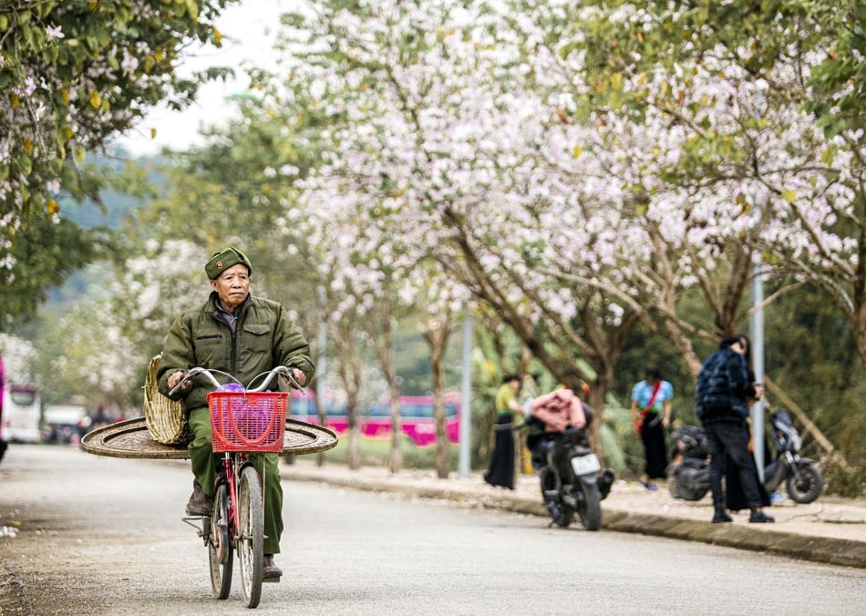 Lễ hội Hoa Ban Điện Biên năm 2026 sẽ diễn ra từ ngày 20-26/3 với quy mô toàn tỉnh, gồm chuỗi hoạt động văn hóa, thể thao và du lịch phong phú với nhiều trải nghiệm mang đậm dấu ấn lịch sử. Ảnh: ITN