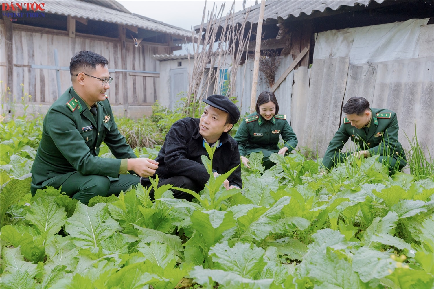 Cán bộ, chiến sĩ Đồn Biên phòng Cửa khẩu Quốc tế Thanh Thủy thăm mô hình cải tạo vườn tạp của gia đình anh Đặng Văn Lòng