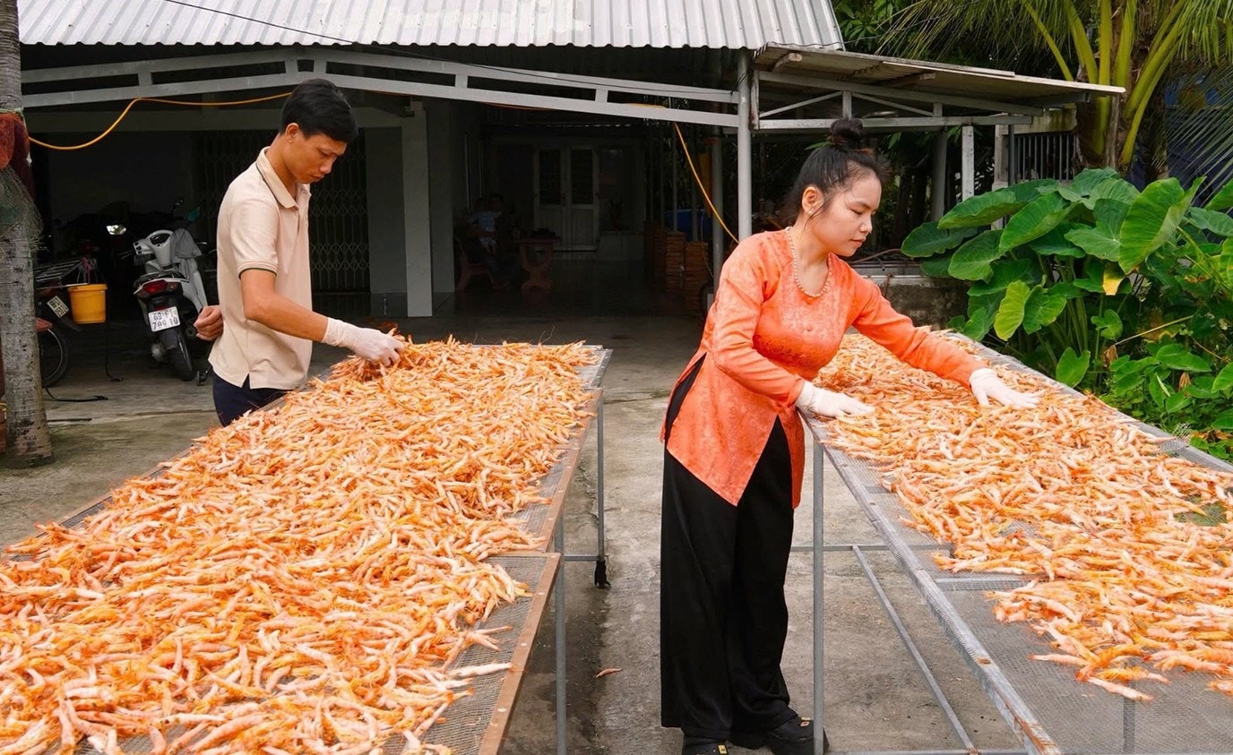 Các cơ sở sản xuất tôm khô tất bật vụ Tết.  Ảnh: NVCC