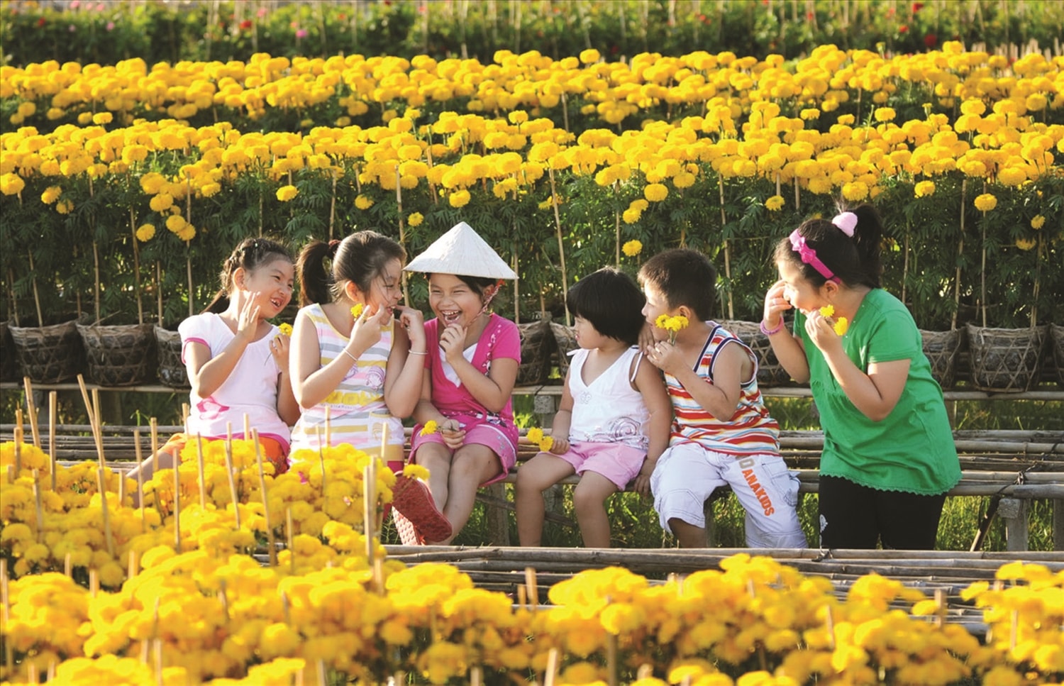 (BÁO IN) Đi tìm sắc Xuân ở đất trời phương Nam 