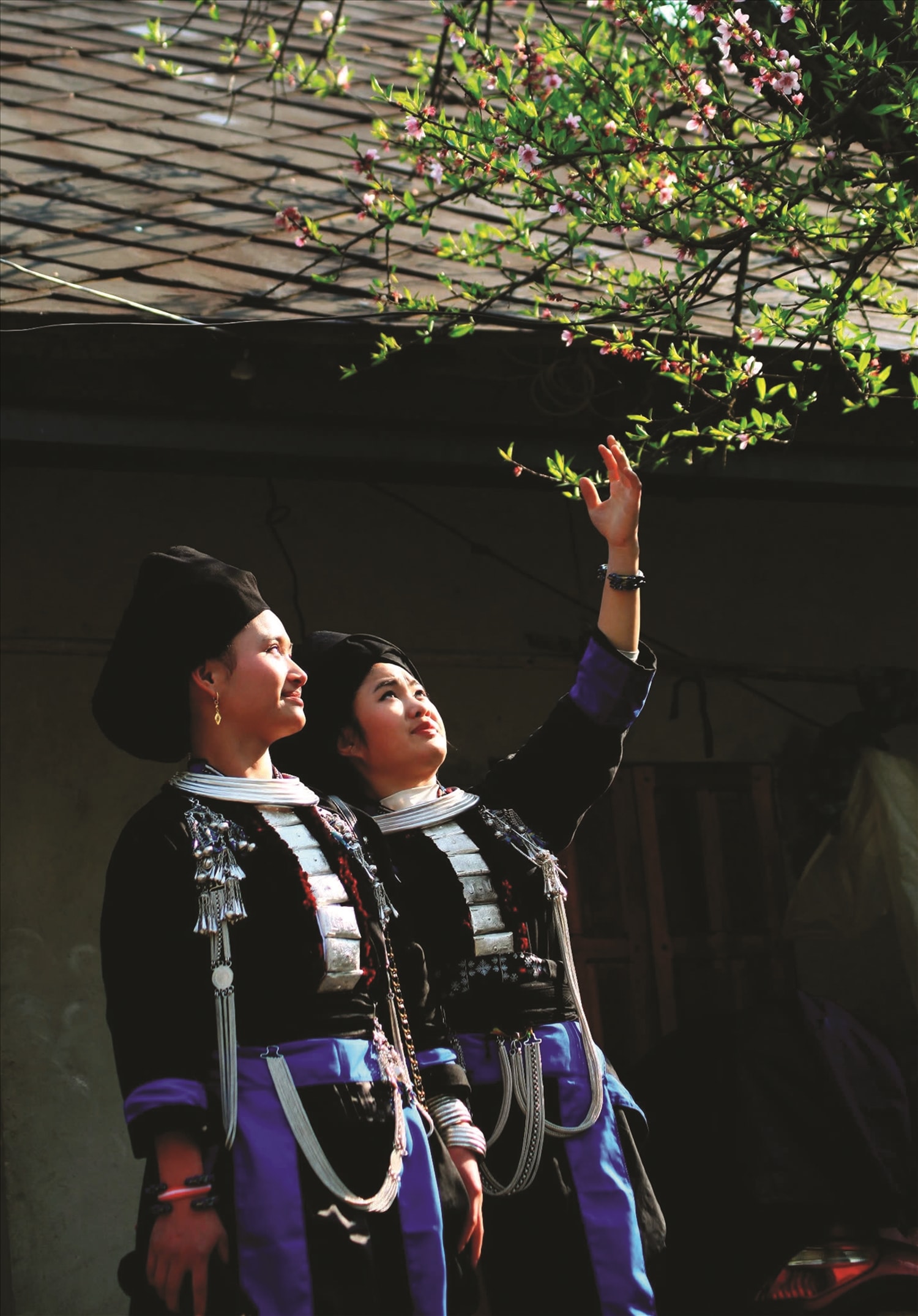 (BÁO IN) Rẻo cao đón Xuân 