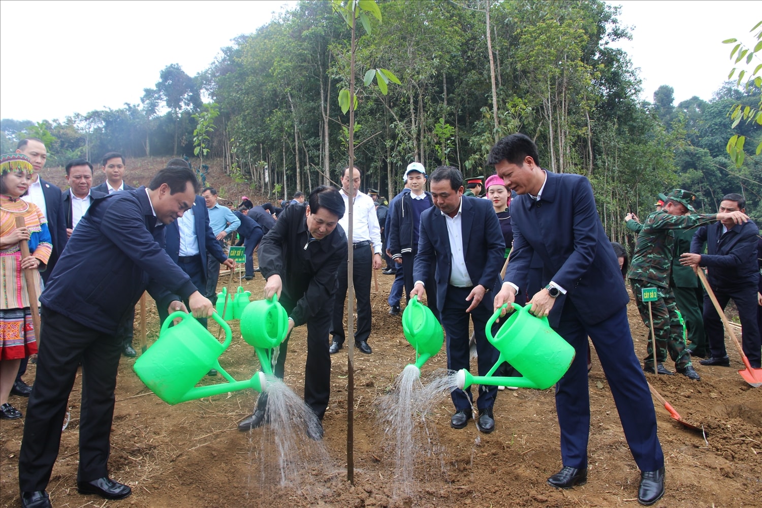 Chủ tịch nước Lương Cường dự Lễ phát động Tết trồng cây năm 2026 tại Lào Cai 