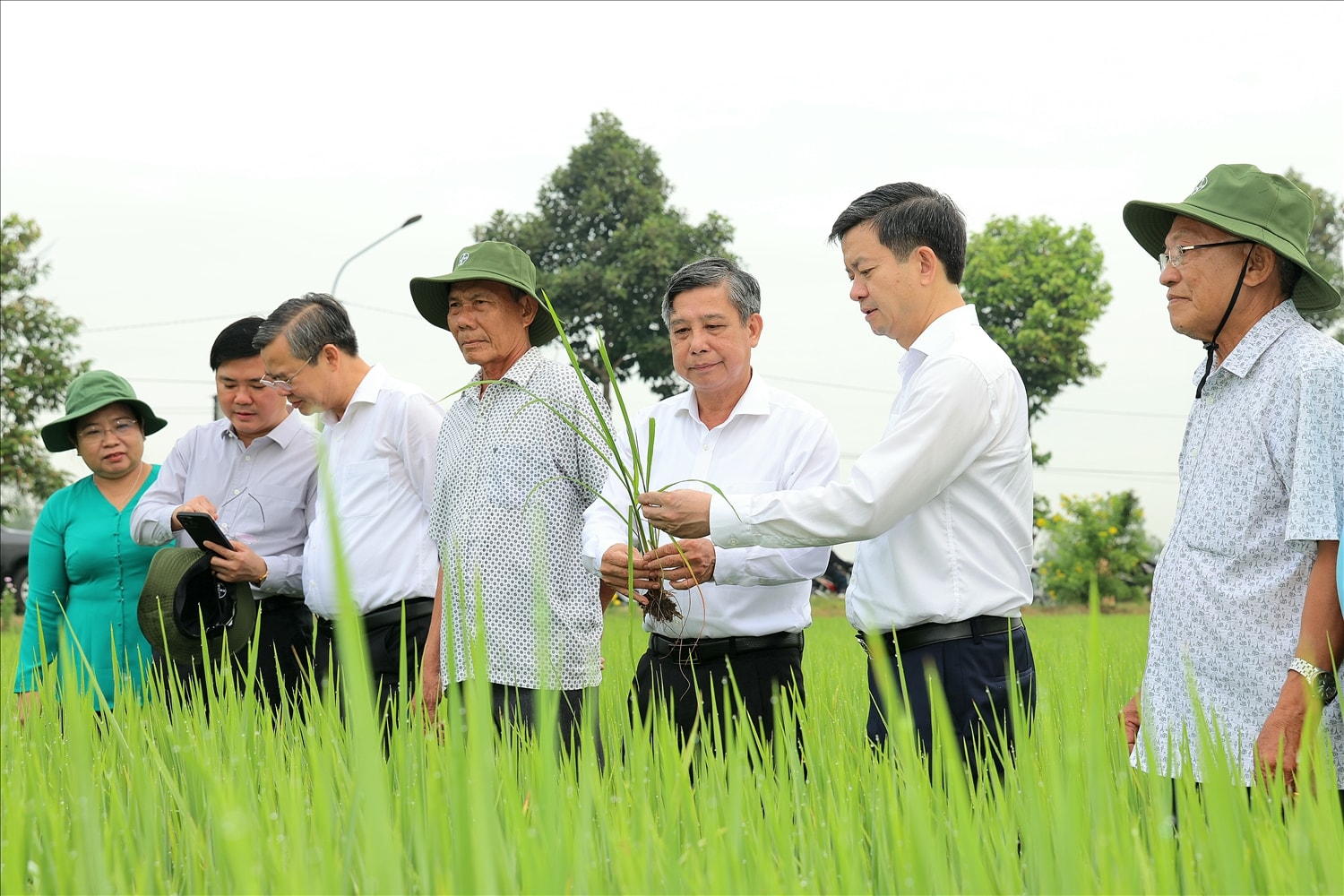 Lãnh đạo Cần Thơ thăm đồng đầu Xuân Bính Ngọ 2026. (Ảnh: Trung Phạm)