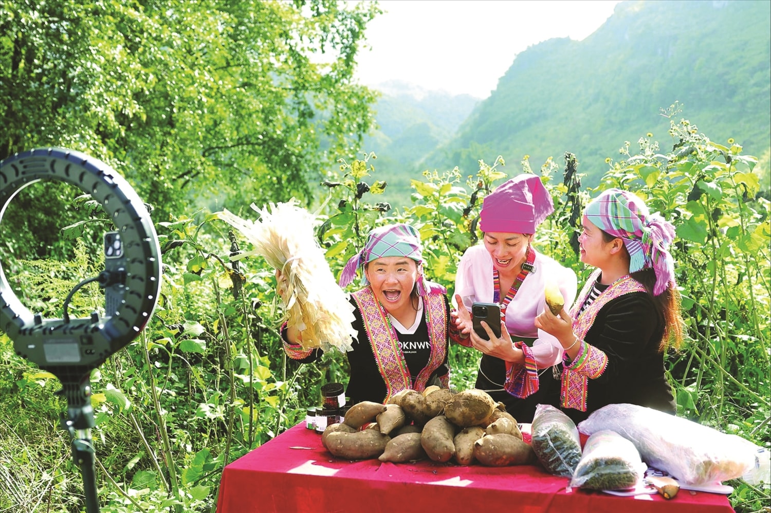 Vừ Thị Xia, Cô Ba Hồng, Vừ Thị Chứ livestream bán khoai sâm  và nông sản của Sìn Hồ, tỉnh Lai Châu. Ảnh: T.T
