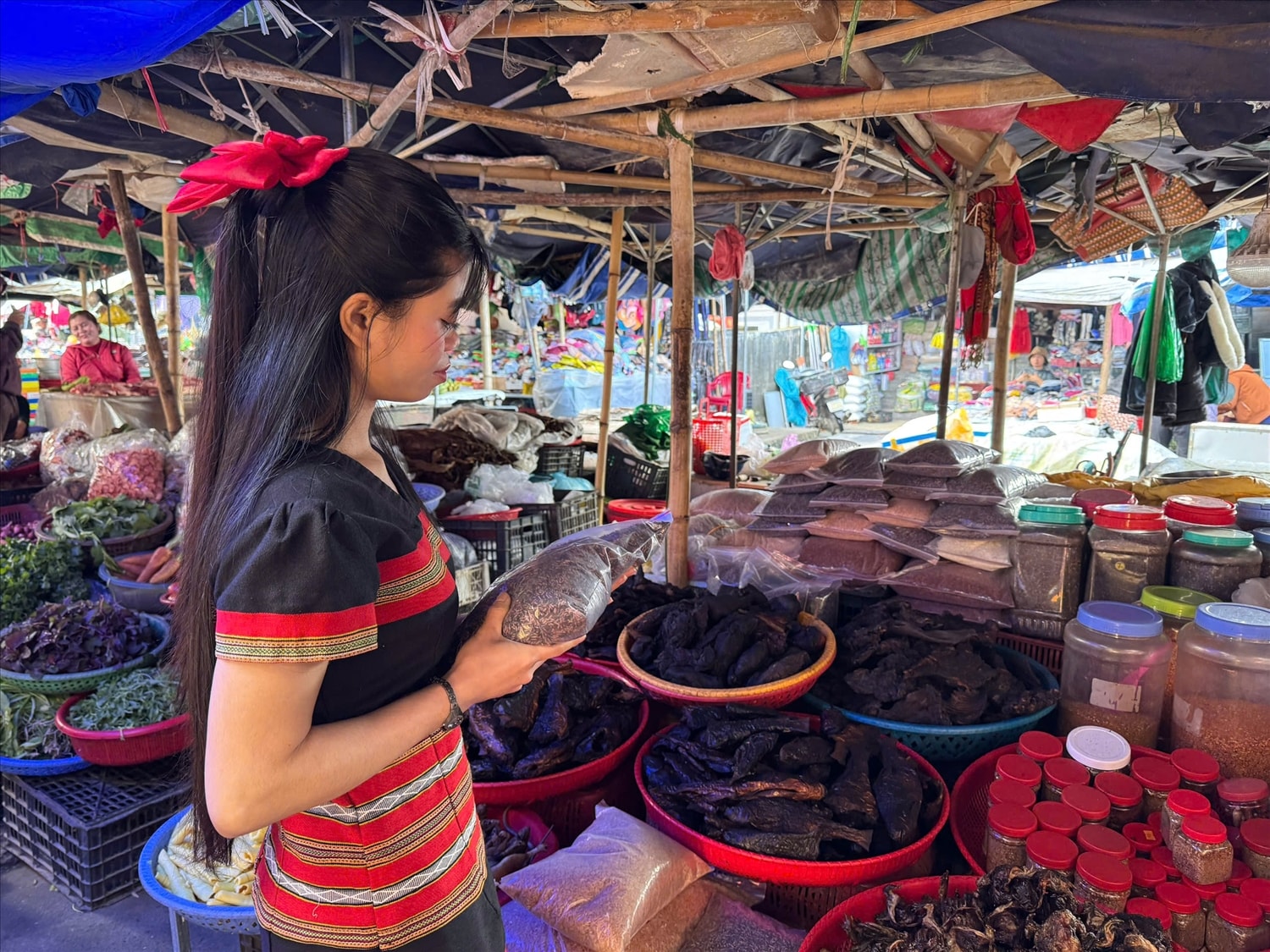 Phụ nữ Pa Cô chọn nếp (Ảnh: Phạm Tiến)