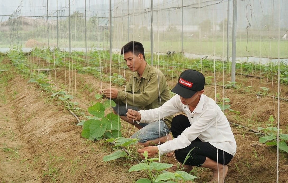 Từ những lớp đào tạo nghề nông nghiệp, lao động nông thôn có cơ hội tìm kiếm việc làm, có thu nhập ổn định (Ảnh: Trọng Bảo)