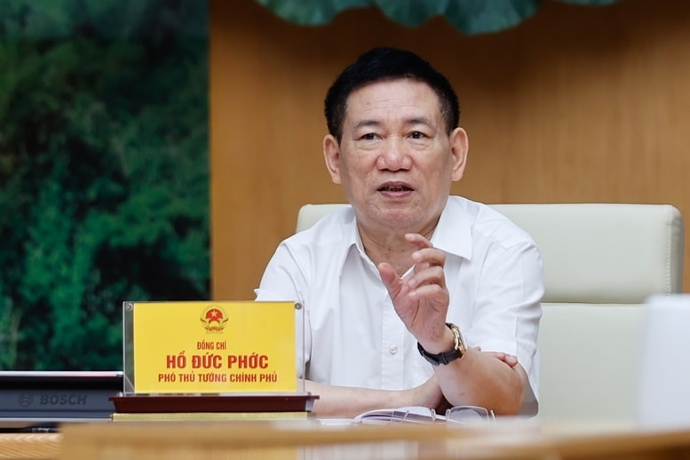 Phó Thủ tướng Chính phủ Hồ Đức Phớc phát biểu tại Phiên họp - Ảnh: VGP/Nhật Bắc