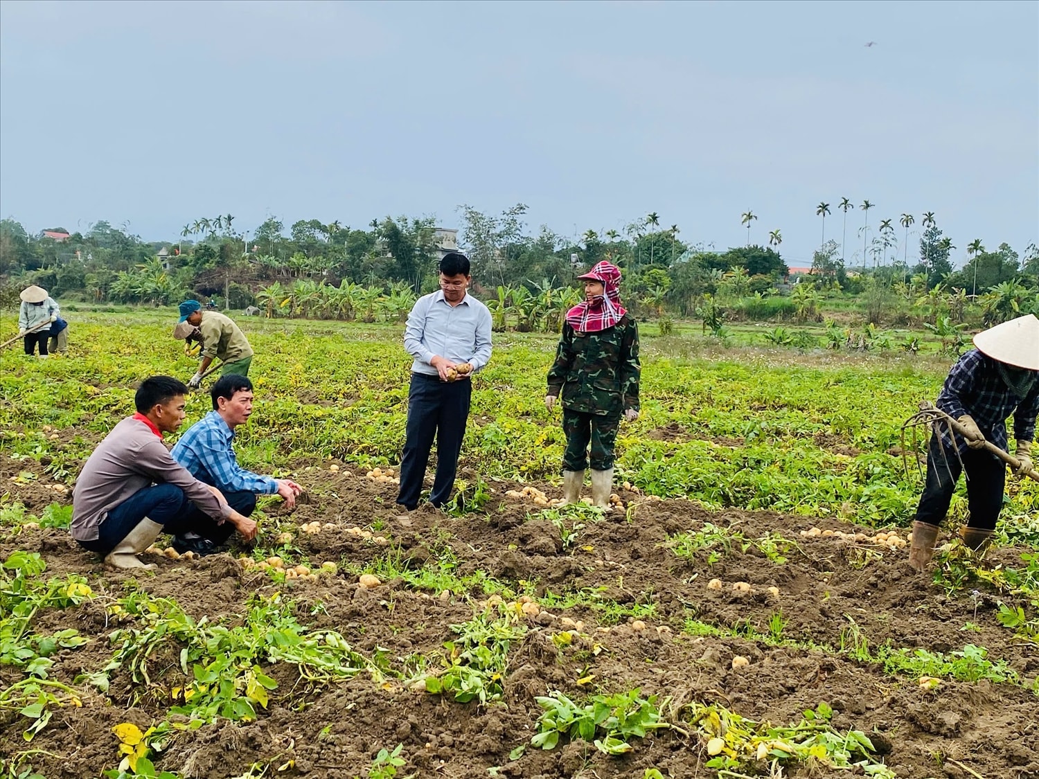 Lãnh đạo xã Quảng Đức kiểm tra tình hình sản xuất trên địa bàn