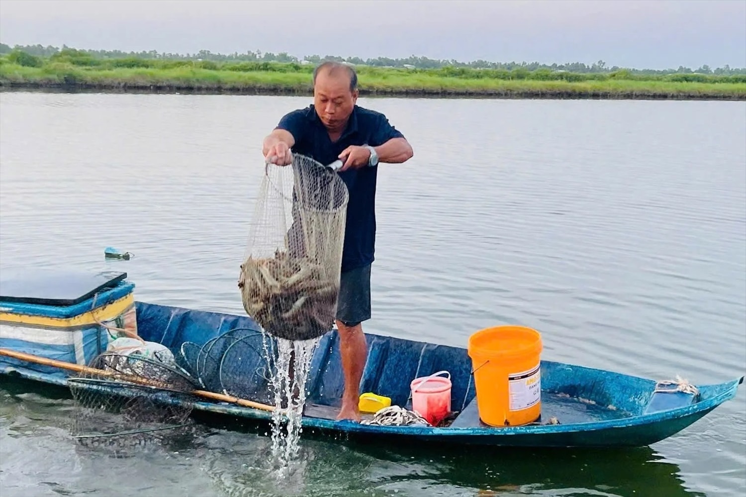 Nông dân xã Tây Yên thu hoạch tôm, với mô hình lúa - tôm hiệu quả. (Ảnh: HC)