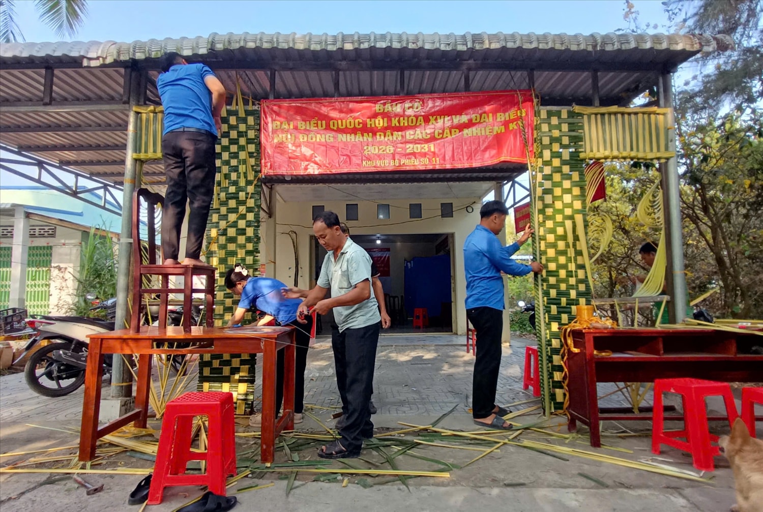 Đoàn viên thanh niên xã Vĩnh Bình dựng cổng điểm bầu cử bằng lá dừa, tạo điểm nhấn mộc mạc, đậm nét văn hóa miền sông nước