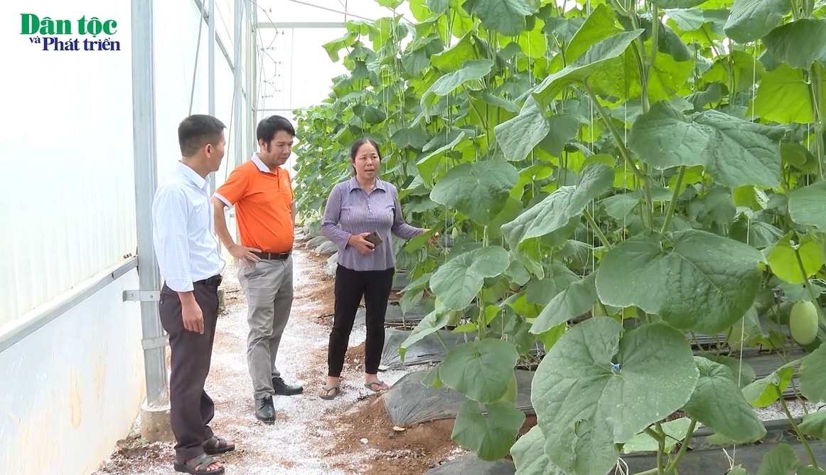 Những đảng viên tiên phong ở vùng cao 