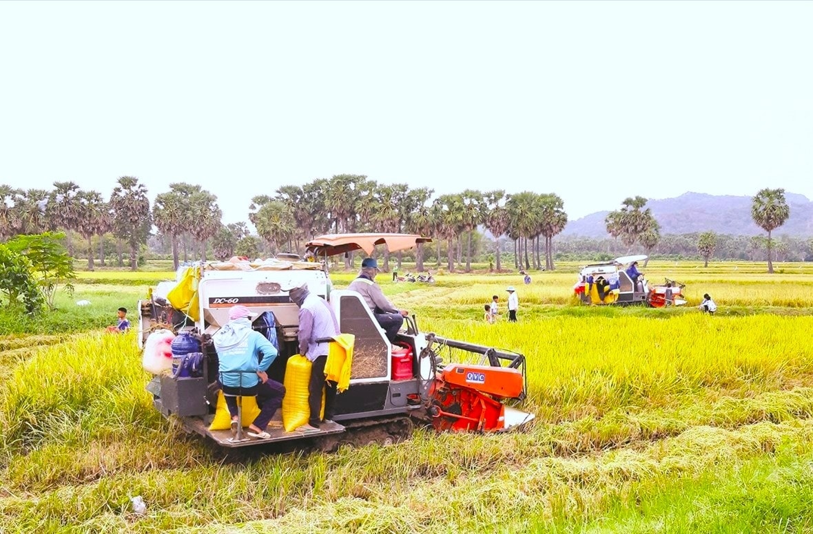 Xã Ô Lâm đưa máy móc vào phục vụ sản xuất, góp phần tăng thu nhập, giảm nghèo bền vững