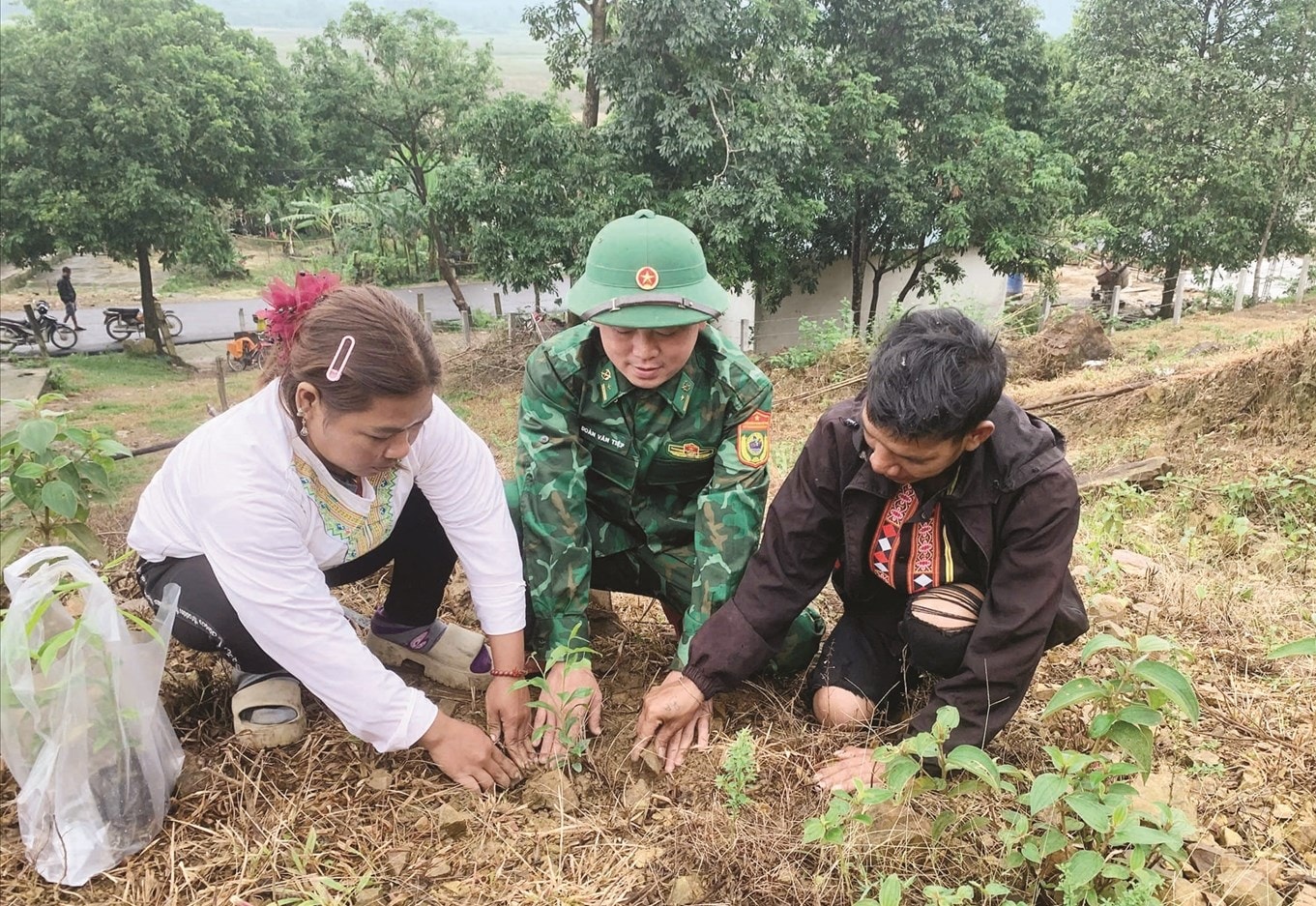 Cán bộ, chiến sĩ Đồn Biên phòng Bản Giàng cùng với chính quyền địa phương xã Phúc Trạch  cấp cây gió trầm miễn phí và hỗ trợ kỹ thuật trồng cây giống cho bà con bản Rào Tre, tỉnh Hà Tĩnh.