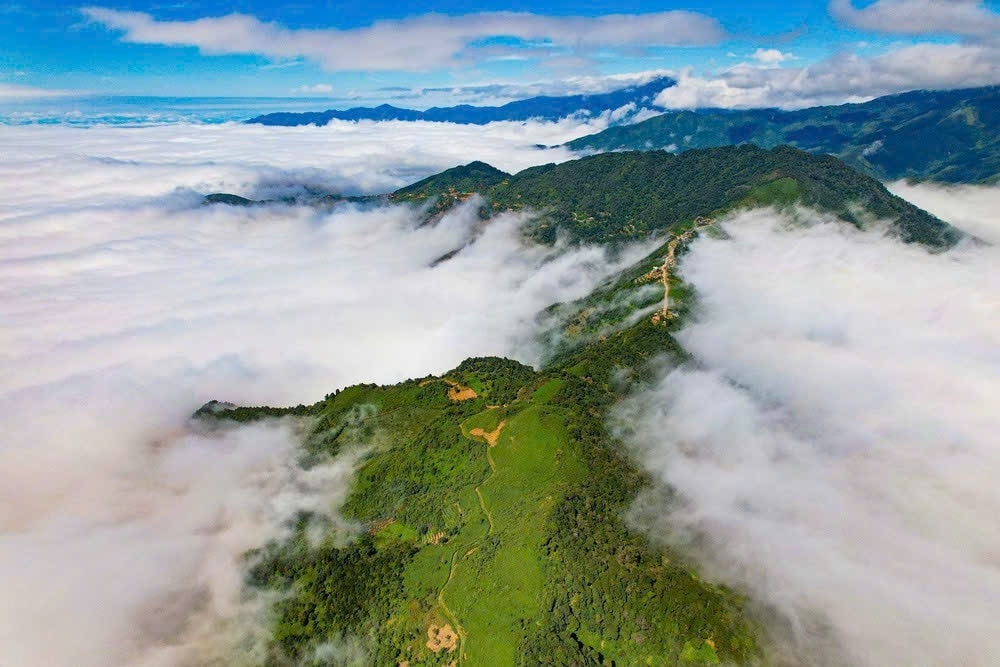 Sống lưng khủng long thiên đường săn mây (ảnh st)