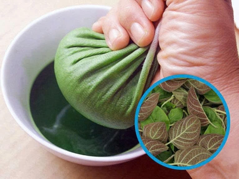  Lá mơ lông được biết nhiều nhất trong việc sử dụng để tăng cường sức khỏe tiêu hóa, điều trị các bệnh liên quan tới tiêu hóa, đặc biệt là bệnh viêm đại tràng mạn tính. Ảnh: ITN