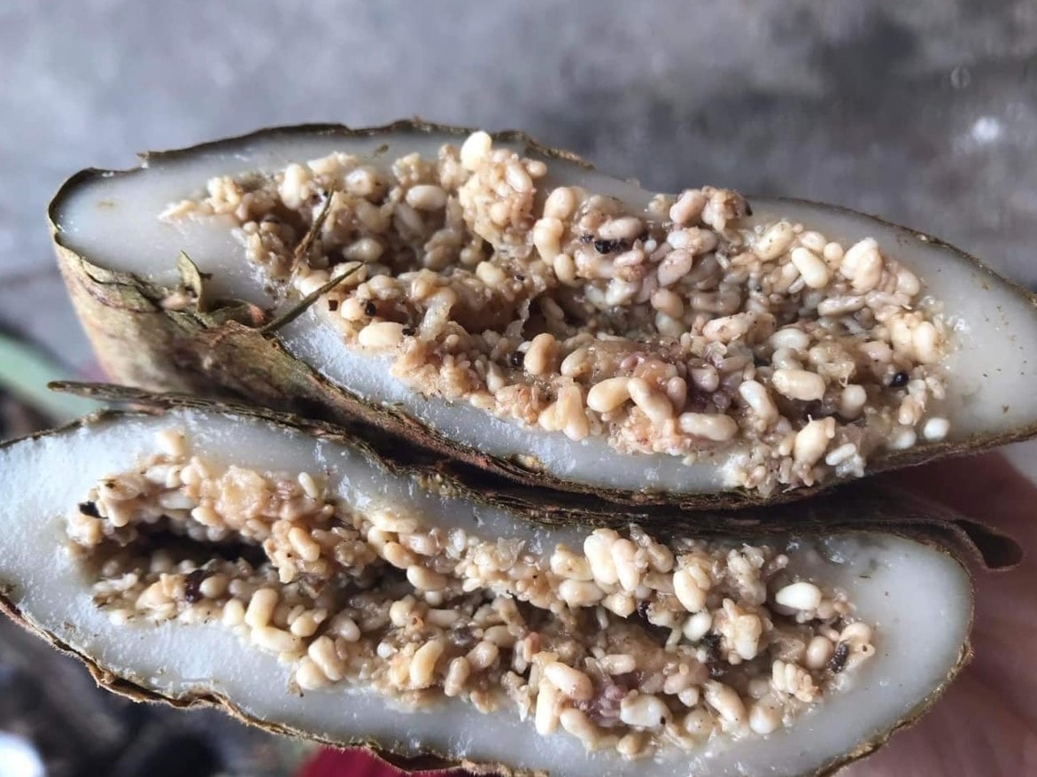 Bánh trưng kiến (ảnh st)