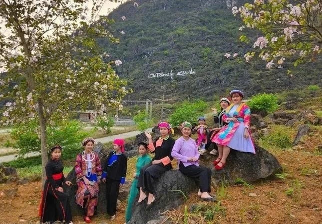 Dịp này, hoa ban đang nở rộ ở Khâu Vai, thu hút nhiều du khách tìm đến trải nghiệm, khám phá. Ảnh: ITN