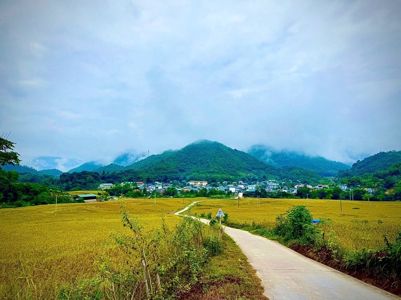 Đời sống bà con vùng biên xã Quang Chiểu đã có nhiều đổi thay nhờ nếp Cay Nọi 