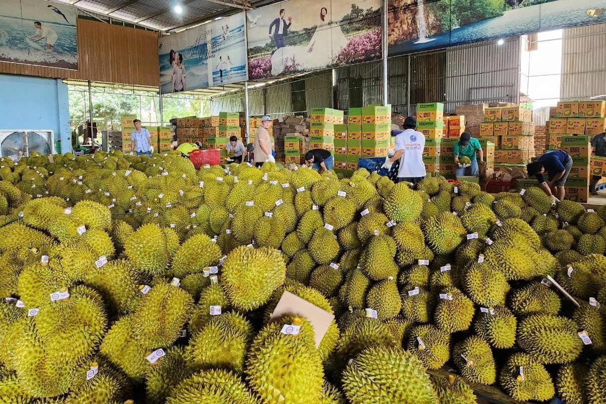 Việc chuẩn hóa truy xuất nguồn gốc được kỳ vọng sẽ nâng cao tính minh bạch, tăng khả năng cạnh tranh