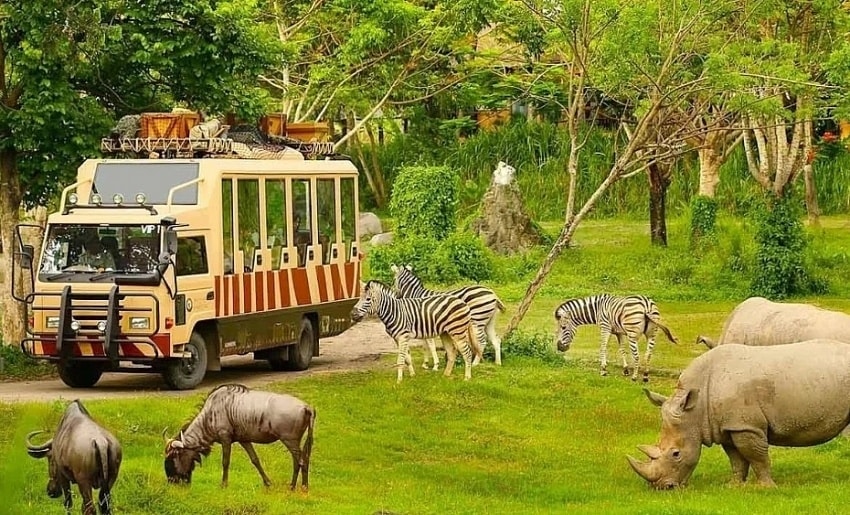 Vinpearl Safari Phú Quốc lọt top 2 những vườn thú và thủy cung hàng đầu Châu Á