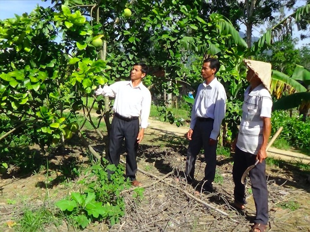 Tỉnh Khánh Hoà đẩy mạnh việc nhân rộng các mô hình sinh kế hiệu quả để hỗ trợ người dân thoát nghèo bền vững. (Ảnh: N.D)
