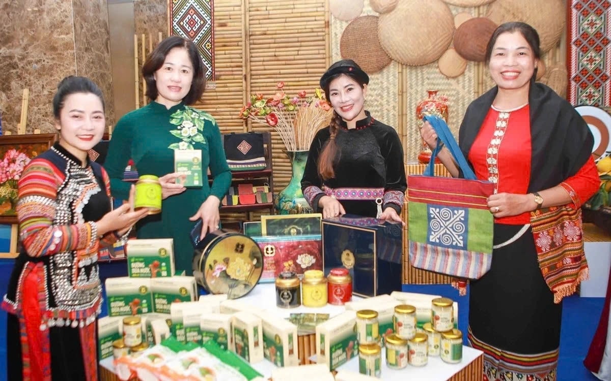 Việc tăng cường năng lực pháp lý cho phụ nữ không chỉ giúp nâng cao hiệu quả sản xuất, kinh doanh mà còn tạo nền tảng cho sự phát triển minh bạch, bền vững của các mô hình kinh tế do phụ nữ làm chủ