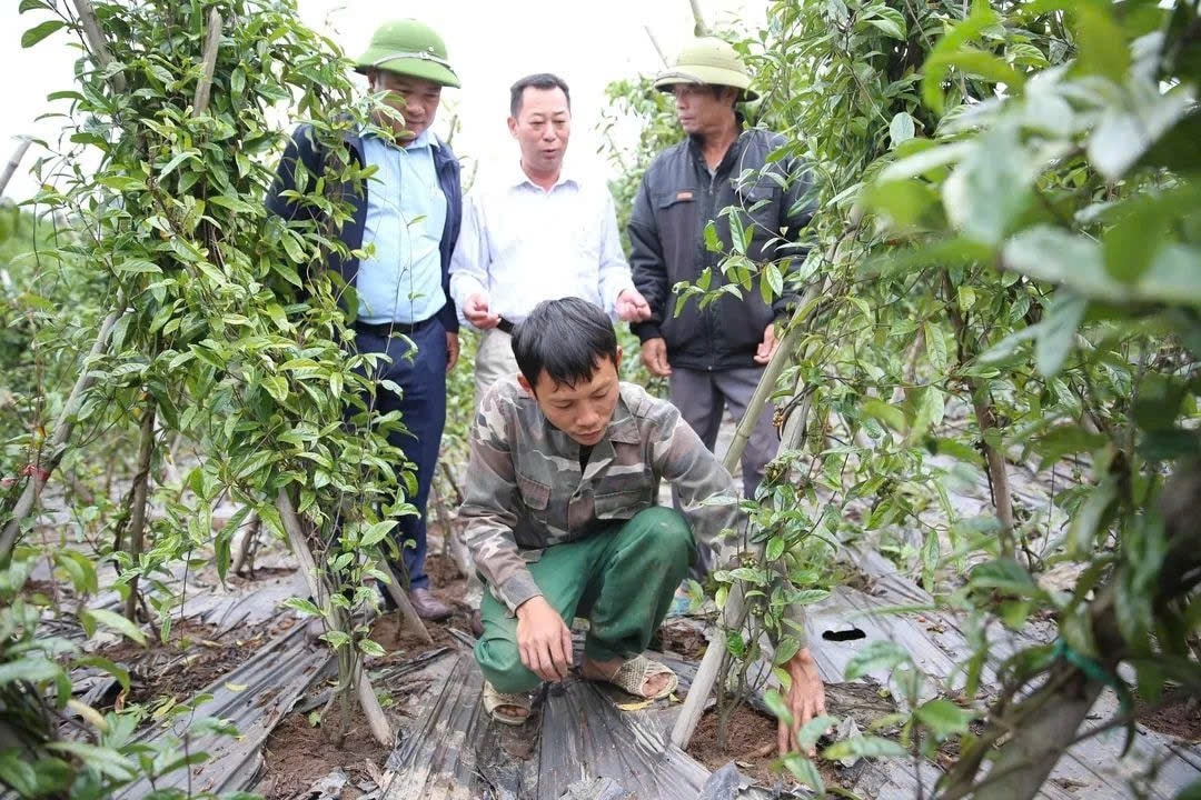 Người dân địa phương bắt đầu chuyển đổi cơ cấu sản xuất theo hướng đa dạng hơn