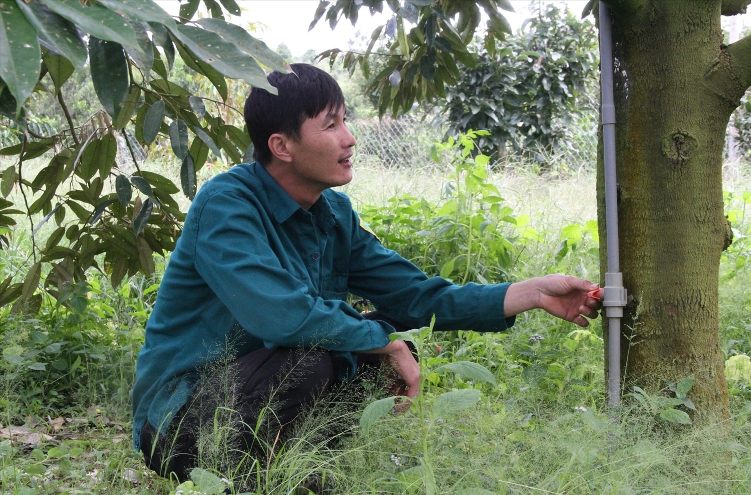 Thất thường giá nhiên liệu, nông dân Tây Nguyên có cách giữ sinh kế 