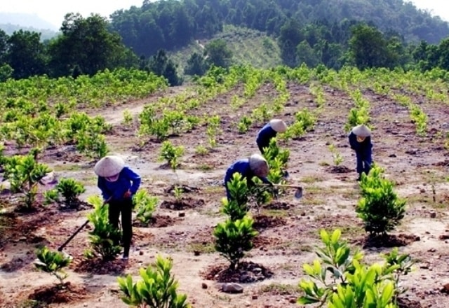 Người dân trở thành chủ thể giữ rừng (Ảnh IT)