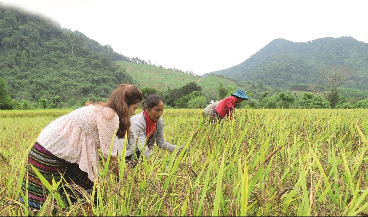 Trao “cần câu” cho đồng bào DTTS là cần thiết, nhưng quan trọng hơn là hướng dẫn và giúp người dân tự tin 