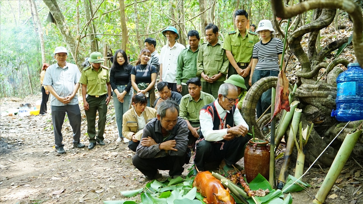 Đồng bào Gia Rai chung tay tổ chức Lễ cúng rừng, tạ ơn Thần rừng đã che chở dân làng và cung cấp nhiều sản vật dưới tán rừng