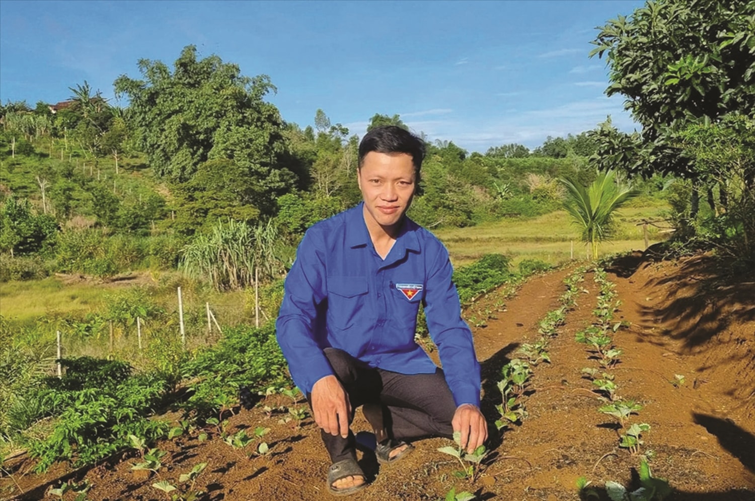 Anh Bùi Ngọc Thanh khởi nghiệp từ trồng dâu tây  kết hợp làm du lịch cộng đồng