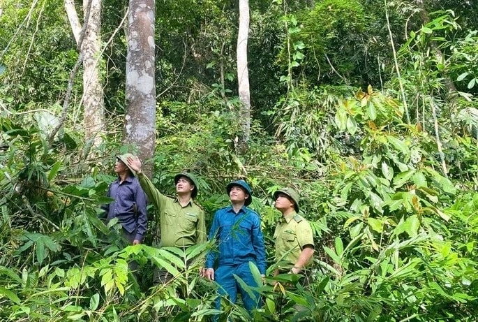 Chính sách chi trả dịch vụ môi trường rừng góp phần nâng cao ý thức, trách nhiệm của người dân trong bảo vệ và phát triển rừng.