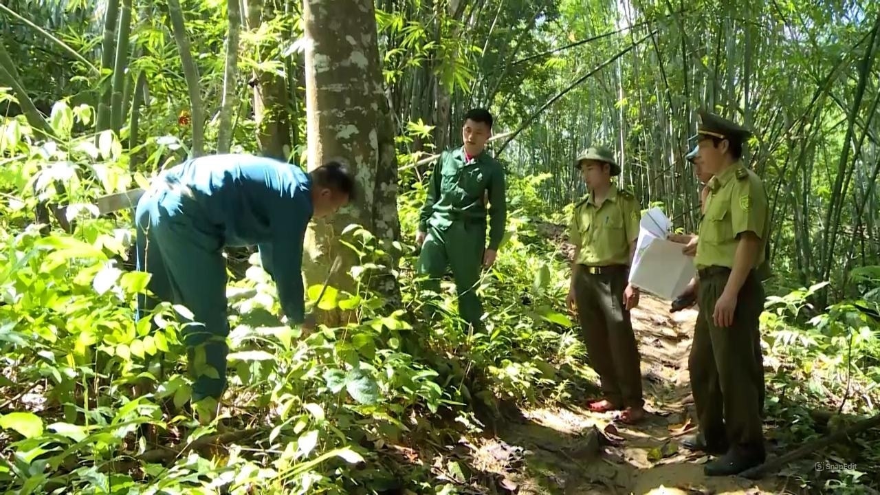 Nguồn chi trả dịch vụ môi trường rừng giúp người dân gắn bó hơn với công tác bảo vệ rừng.