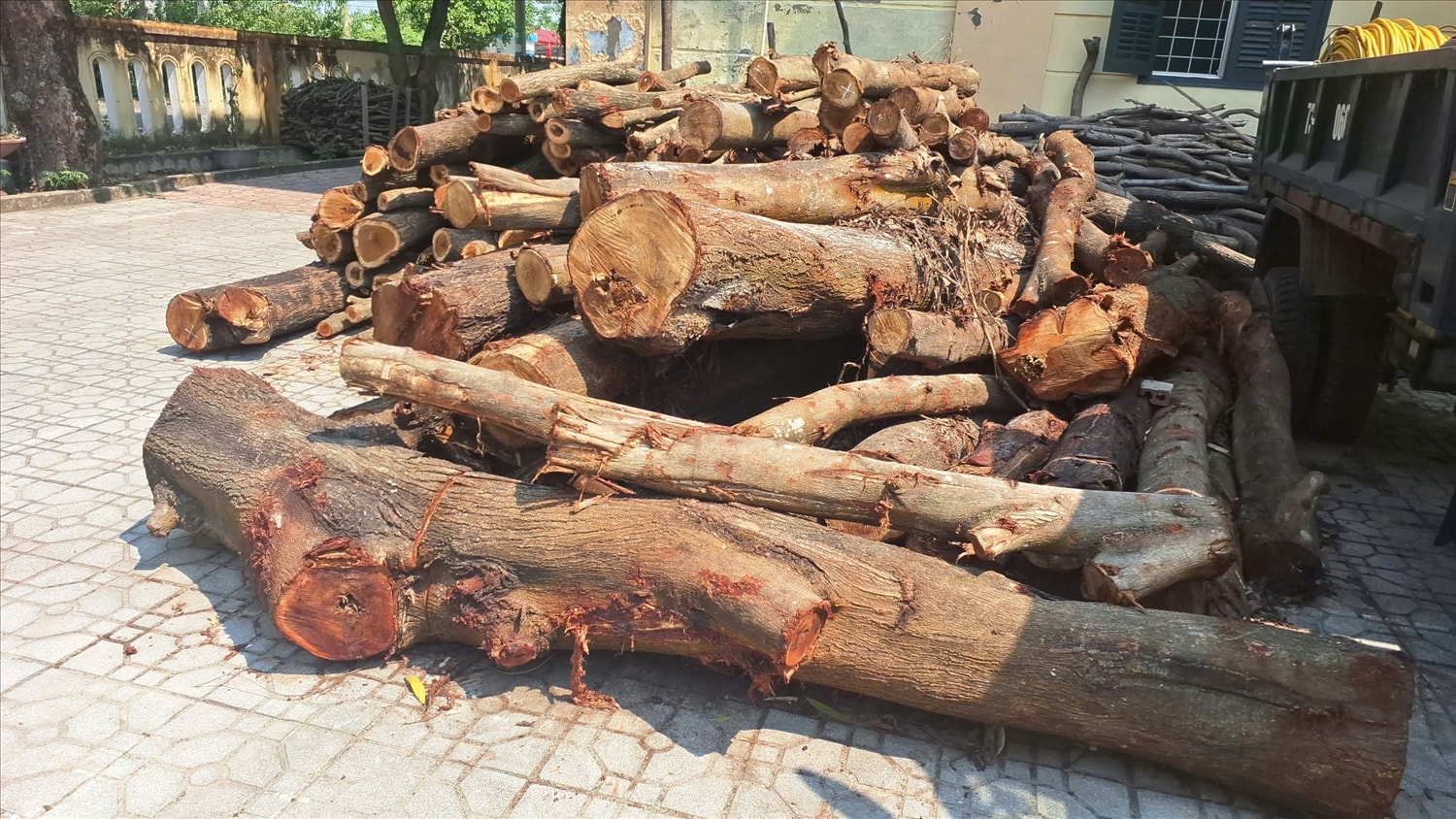 Theo Quyết định xử phạt, khối lượng gỗ bị khai thác trong rừng không được phép của cơ quan có thẩm quyền là 3,868m3 (Ảnh: Phạm Tiến)