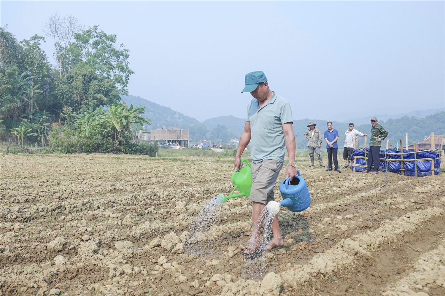 Người dân Mường Phăng đẩy mạnh xen canh rau màu trên đất lúa một vụ 