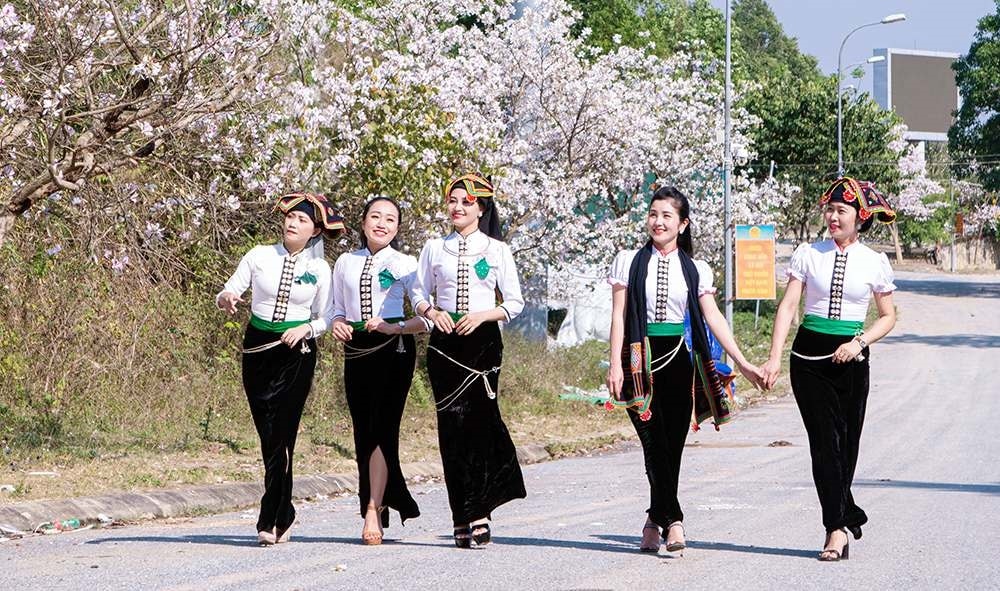 Điện Biên xây dựng “tuyến đường hoa ban dài nhất Việt Nam” để phát triển du lịch. Ảnh: Sưu tầm Internet
