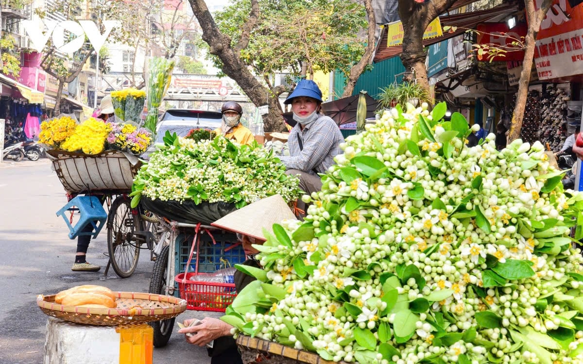 Những gánh hoa bưởi tạo sự gợi nhớ cho từng con phố