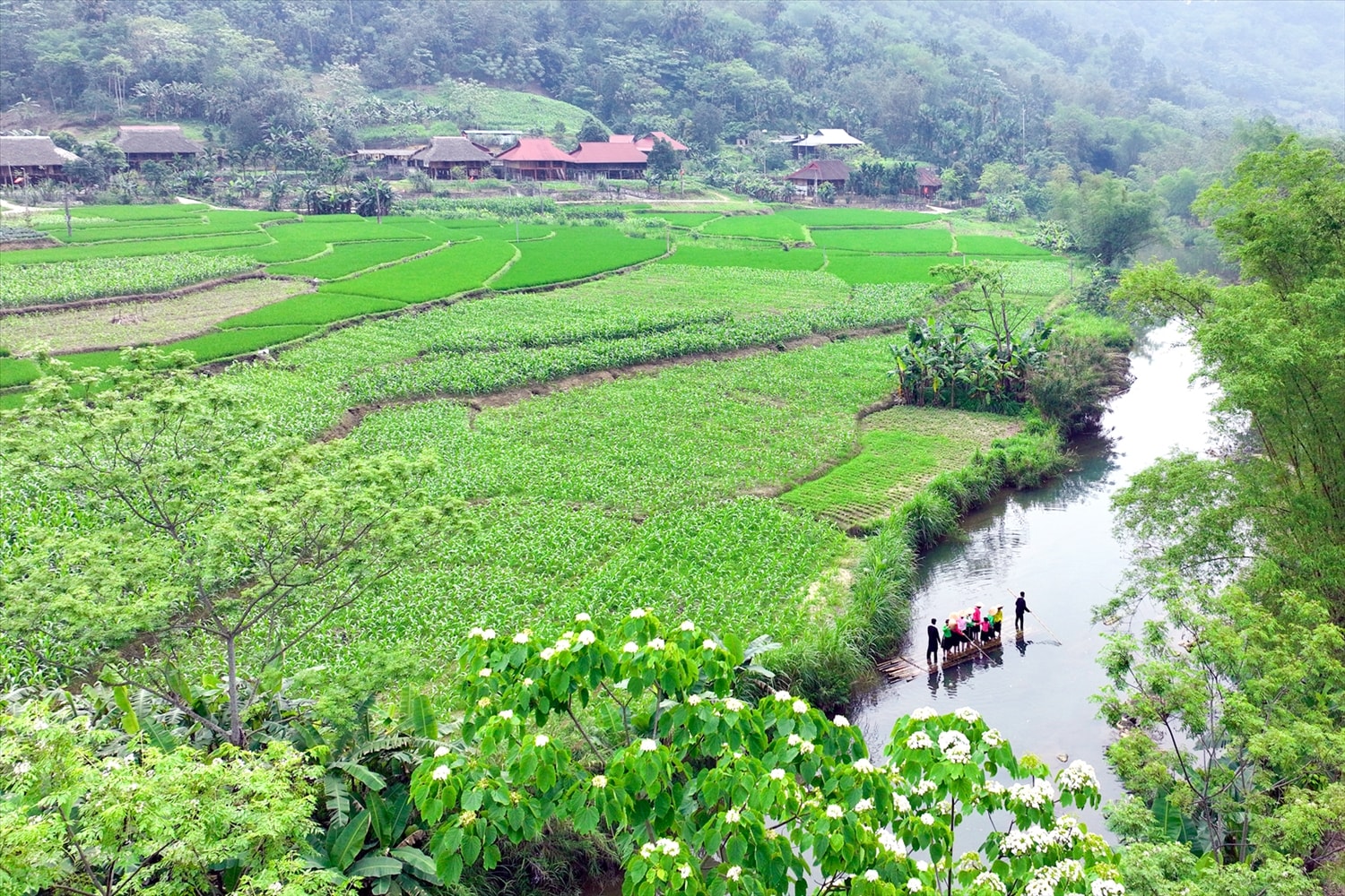 Với diện tích hơn 127 km² sau sáp nhập, Lâm Thượng sở hữu không gian phát triển rộng lớn, nơi mỗi góc nhìn đều mở ra một tiềm năng mới về du lịch cộng đồng và kinh tế xanh bền vững