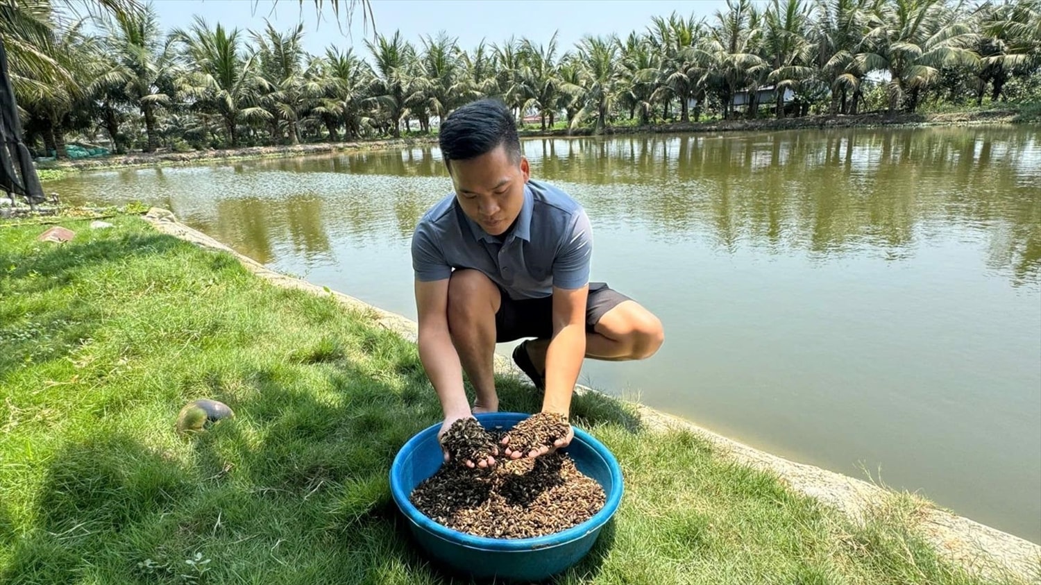 Mô hình nuôi sâu canxi của anh Vũ Văn Quân, thôn Kỳ Sơn, xã Kiến Hưng, TP Hải Phòng giúp gia đình tiết kiệm 50-60% chi phí thức chăn nuôi